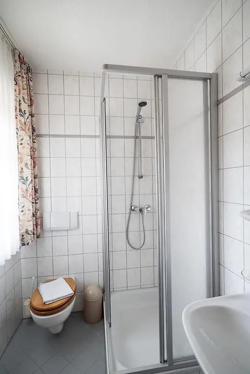 Pensjonat Hotel Zur Triftsperre Pasawa